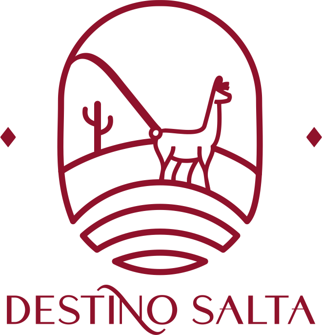 Destino Salta Logo